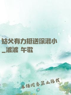 姑父有力挺送徐湫小說
